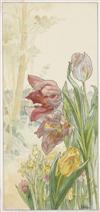 HENRI PRIVAT-LIVEMONT Quatre Planches Fleurs Décoratives: Chrysanthèmes, Iris, Pivoines et Tulipes.